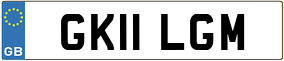Truck License Plate